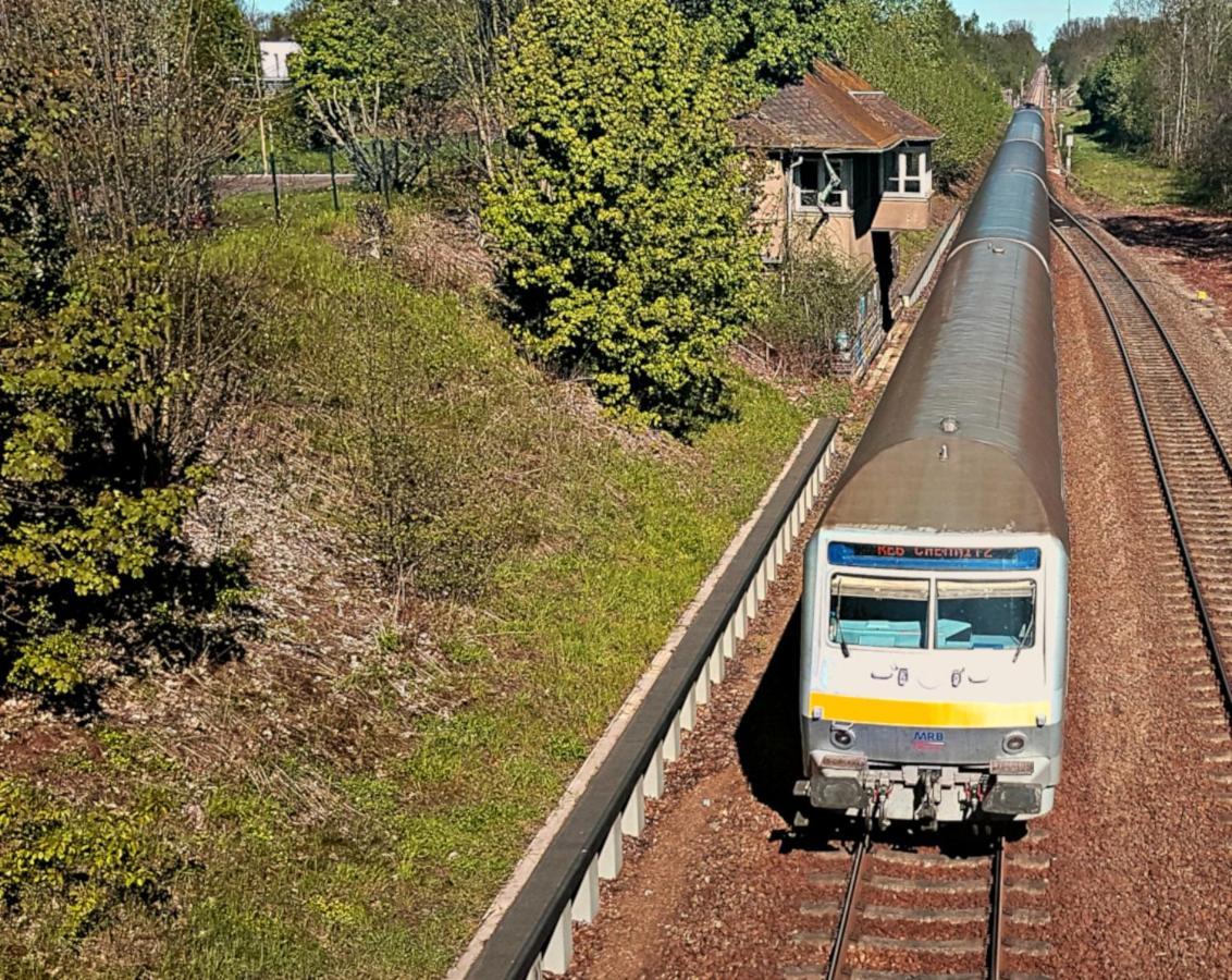 Parkvilla Bad Lausick Dış mekan fotoğraf